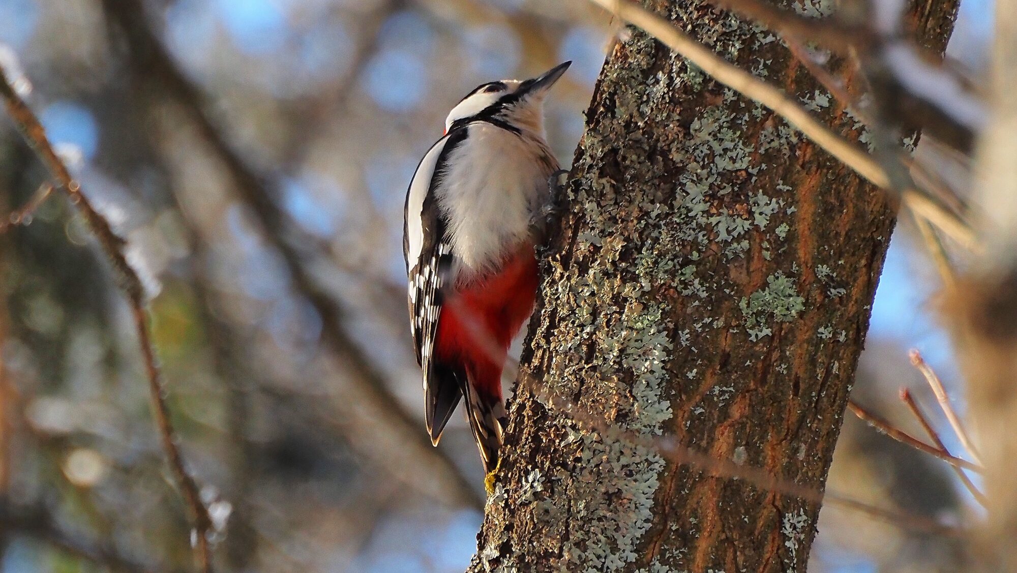 Valokuvaaja: Arja Valtonen
