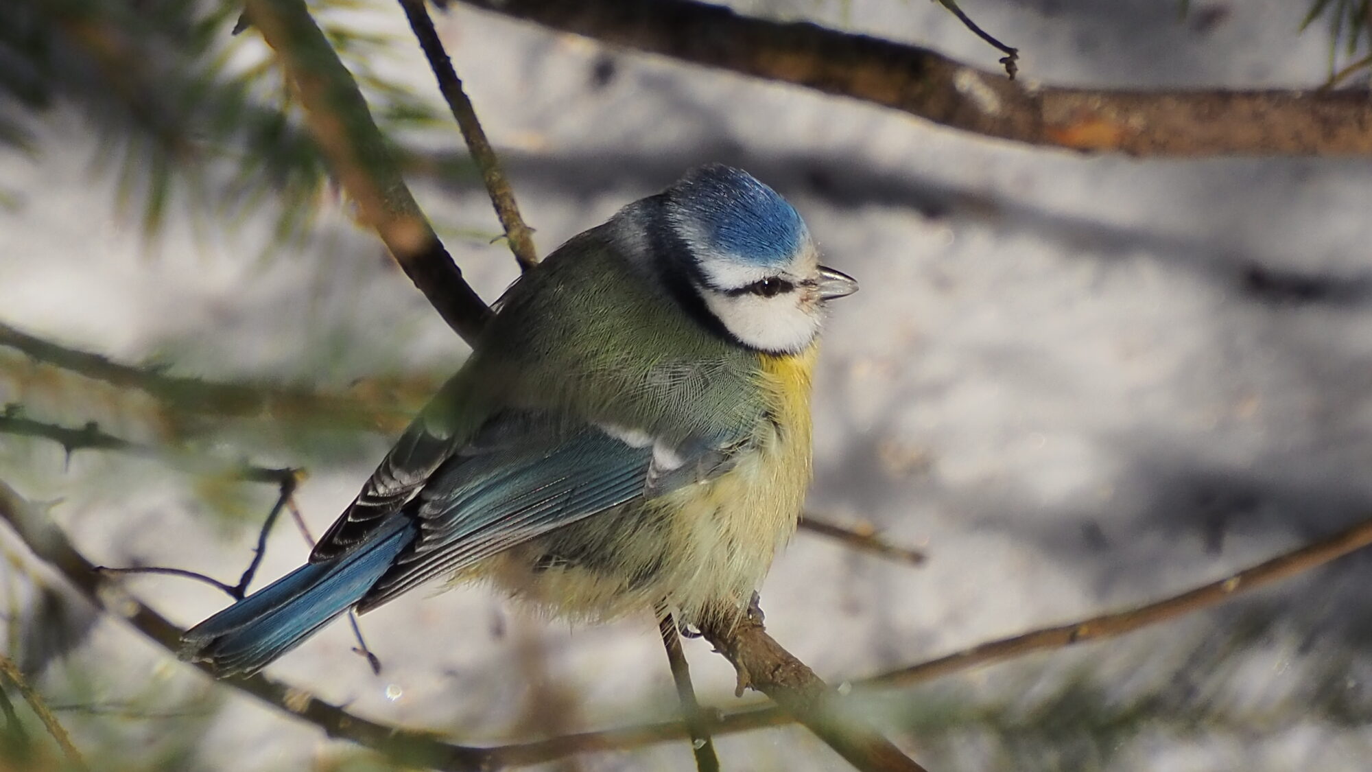 Valokuvaaja: Martti Valtonen