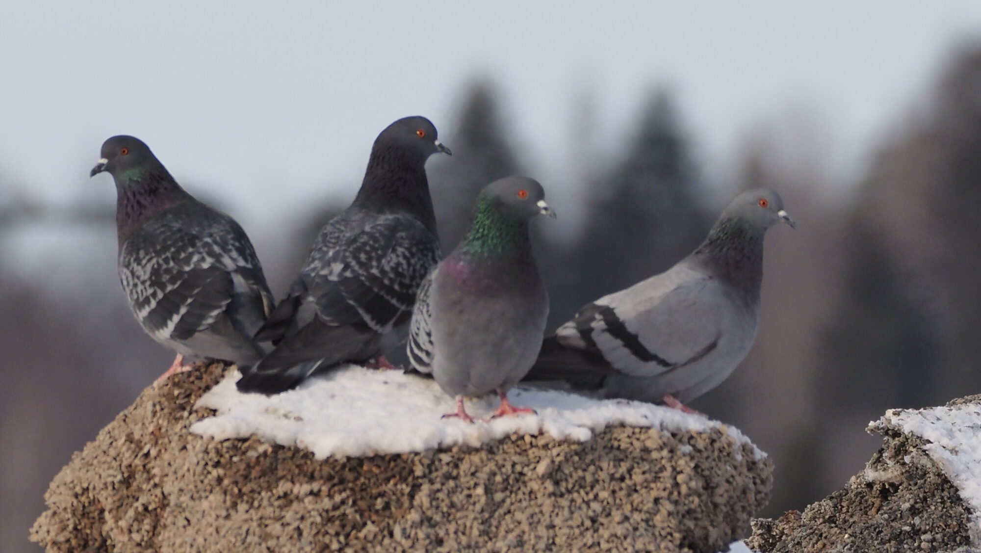 Valokuvaaja: Arja Valtonen