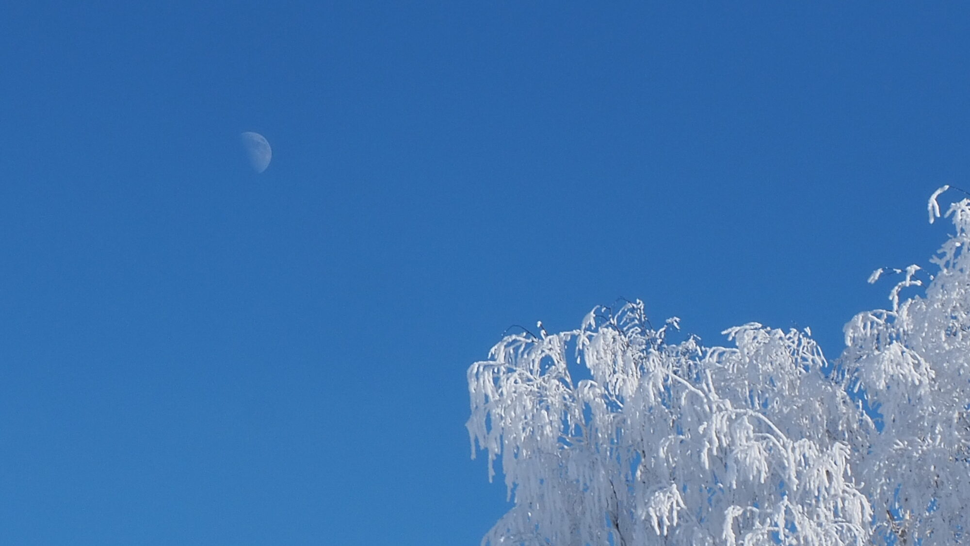 Valokuvaaja: Martti Valtonen