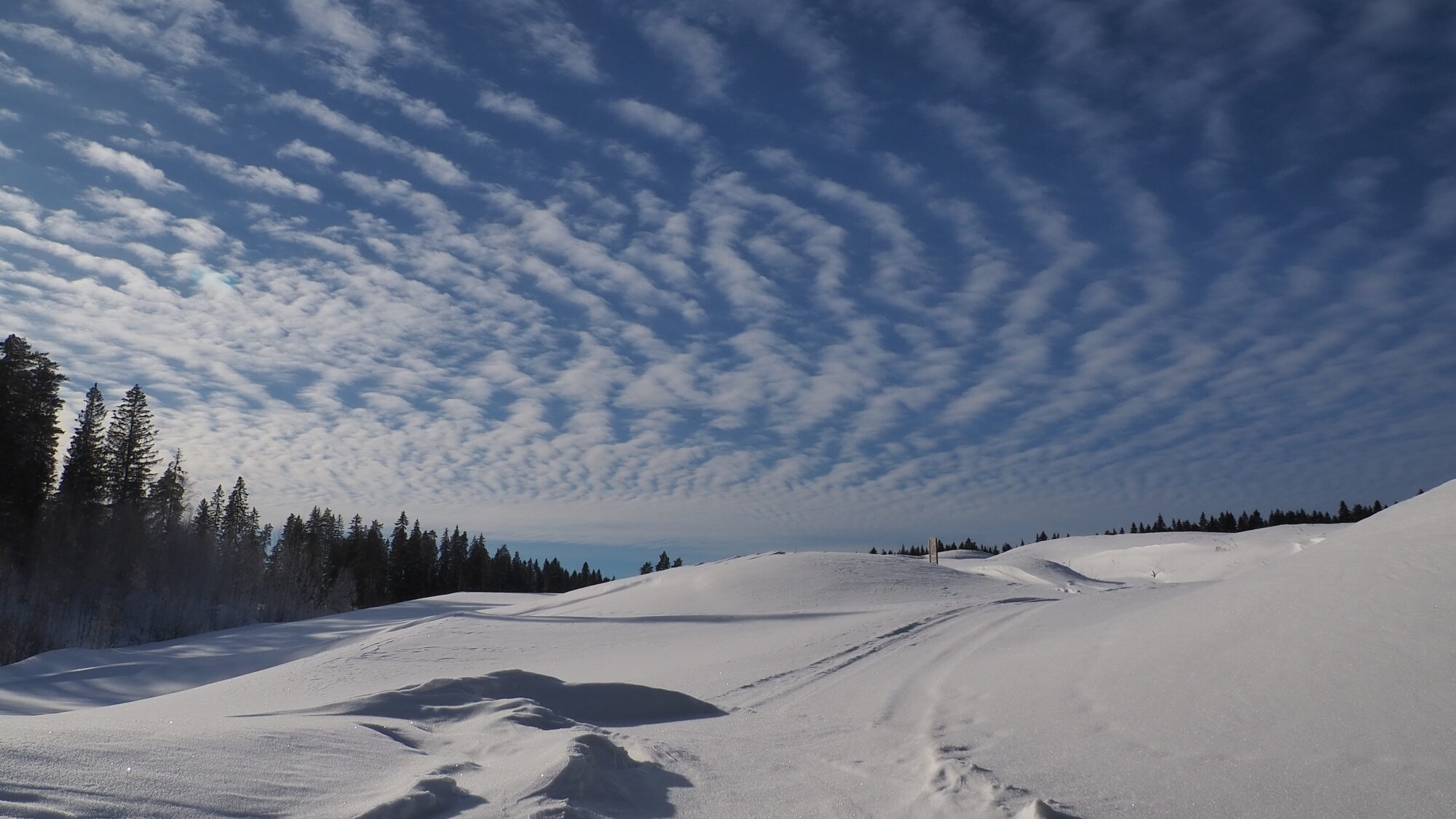 Valokuvaaja: Martti Valtonen