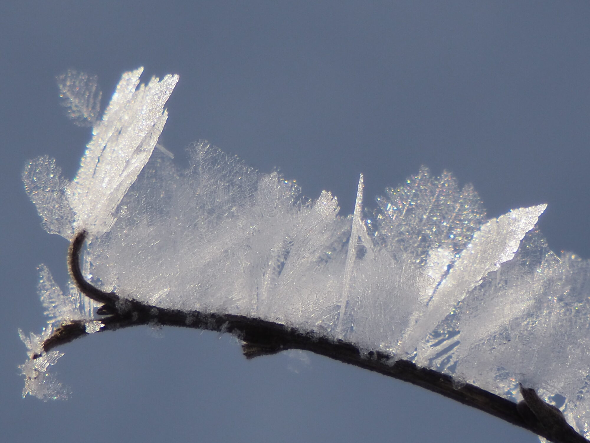 Valokuvaaja: Martti Valtonen