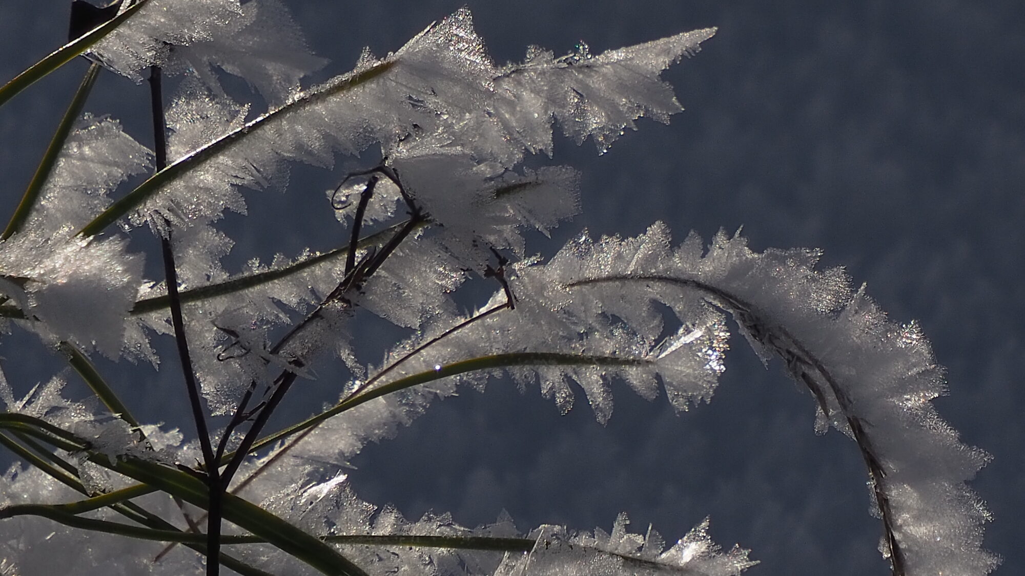 Valokuvaaja: Martti Valtonen