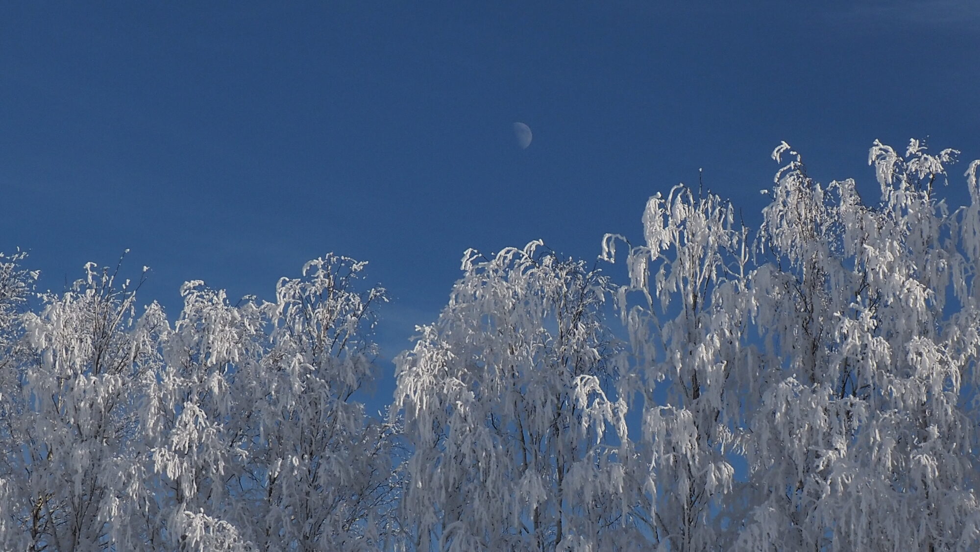 Valokuvaaja: Arja Valtonen