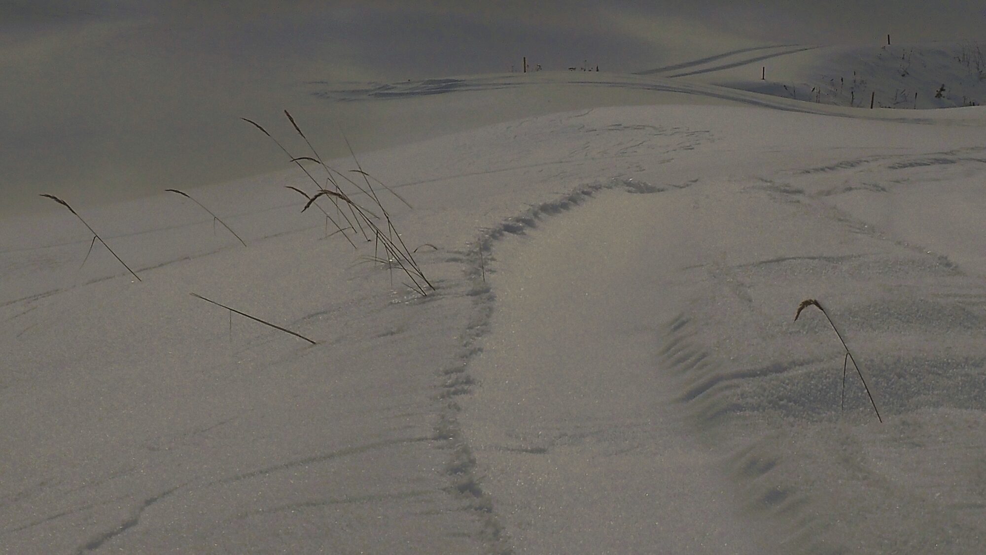 Valokuvaaja: Arja Valtonen