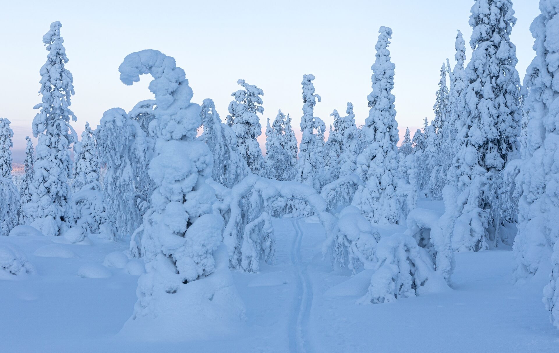 Valokuvaaja: Katri Niskanen