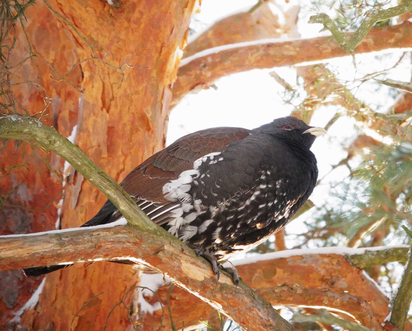 Valokuvaaja: Kaarina Heiskanen
