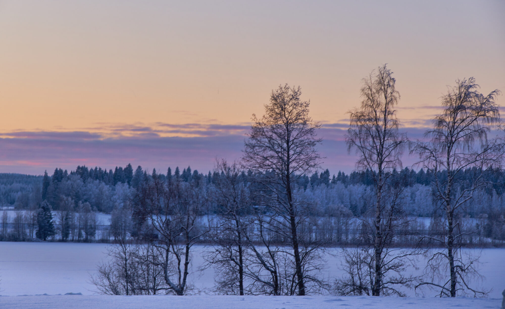 Valokuvaaja: Tarja Kouvo