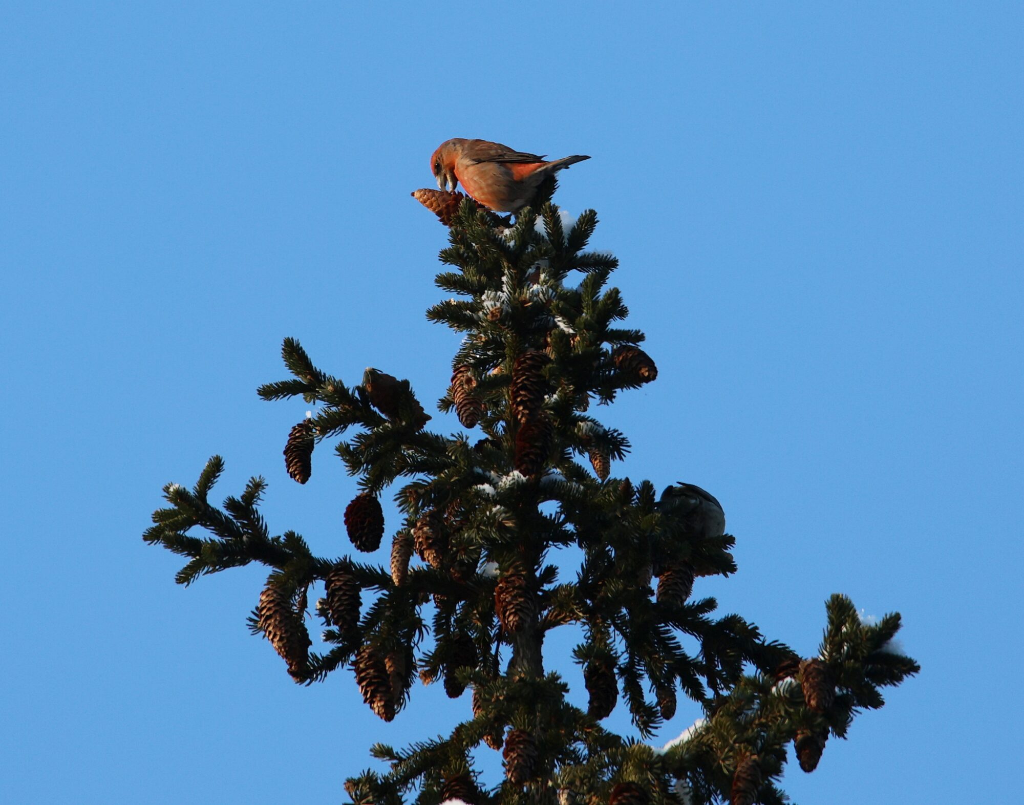 Valokuvaaja: Jaana Saarelainen