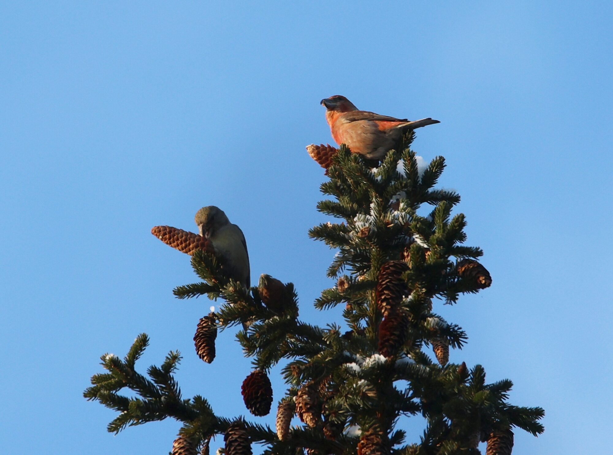 Valokuvaaja: Jaana Saarelainen