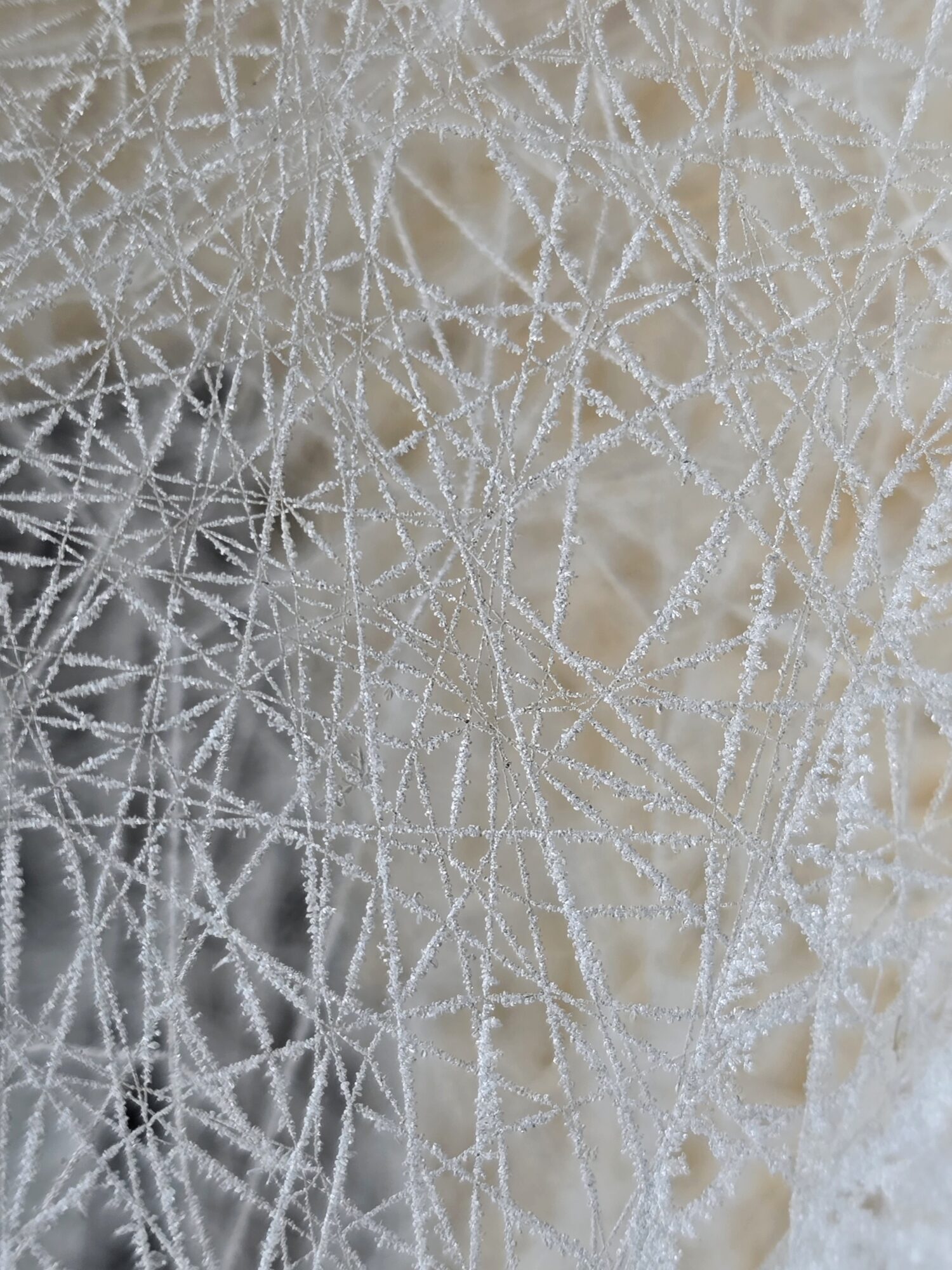 Valokuvaaja: Jaana Saarelainen