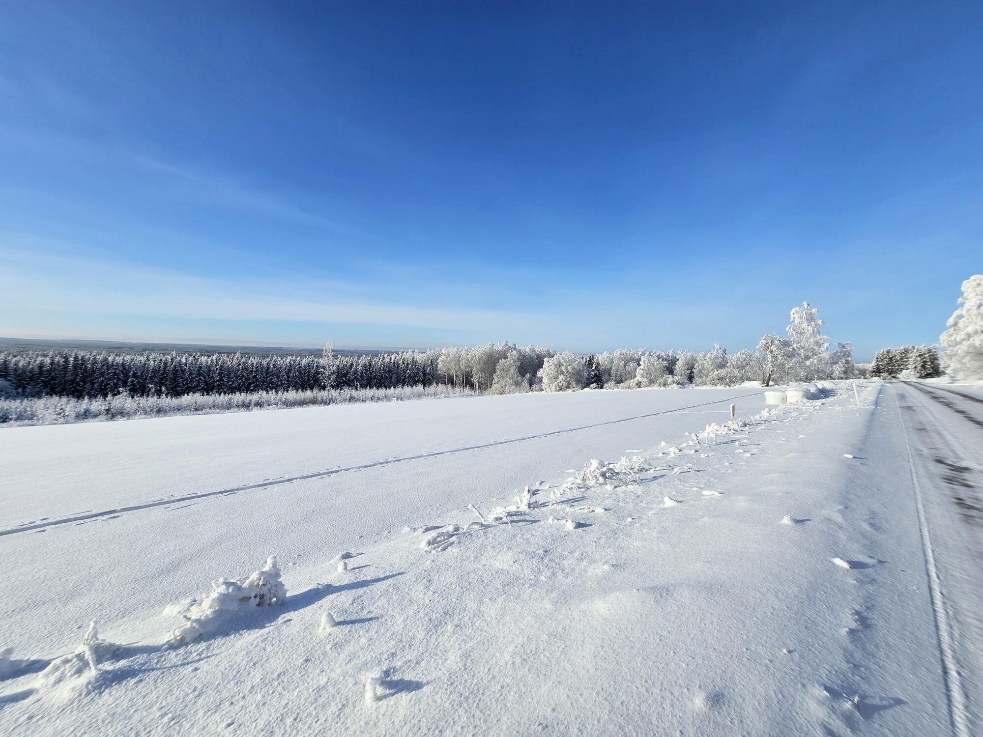 Valokuvaaja: Jaana Saarelainen