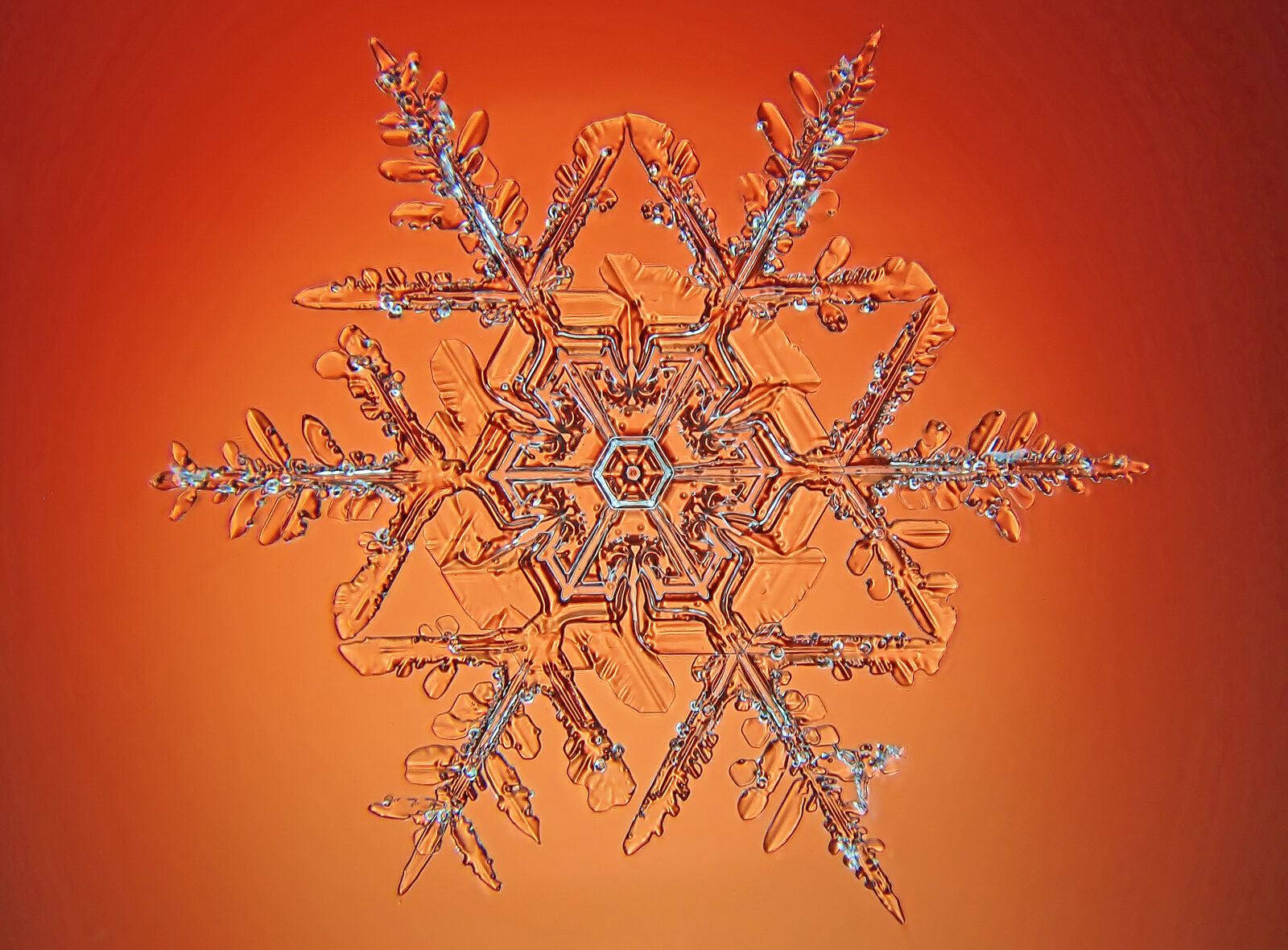 Valokuvaaja: Juhani Harkas