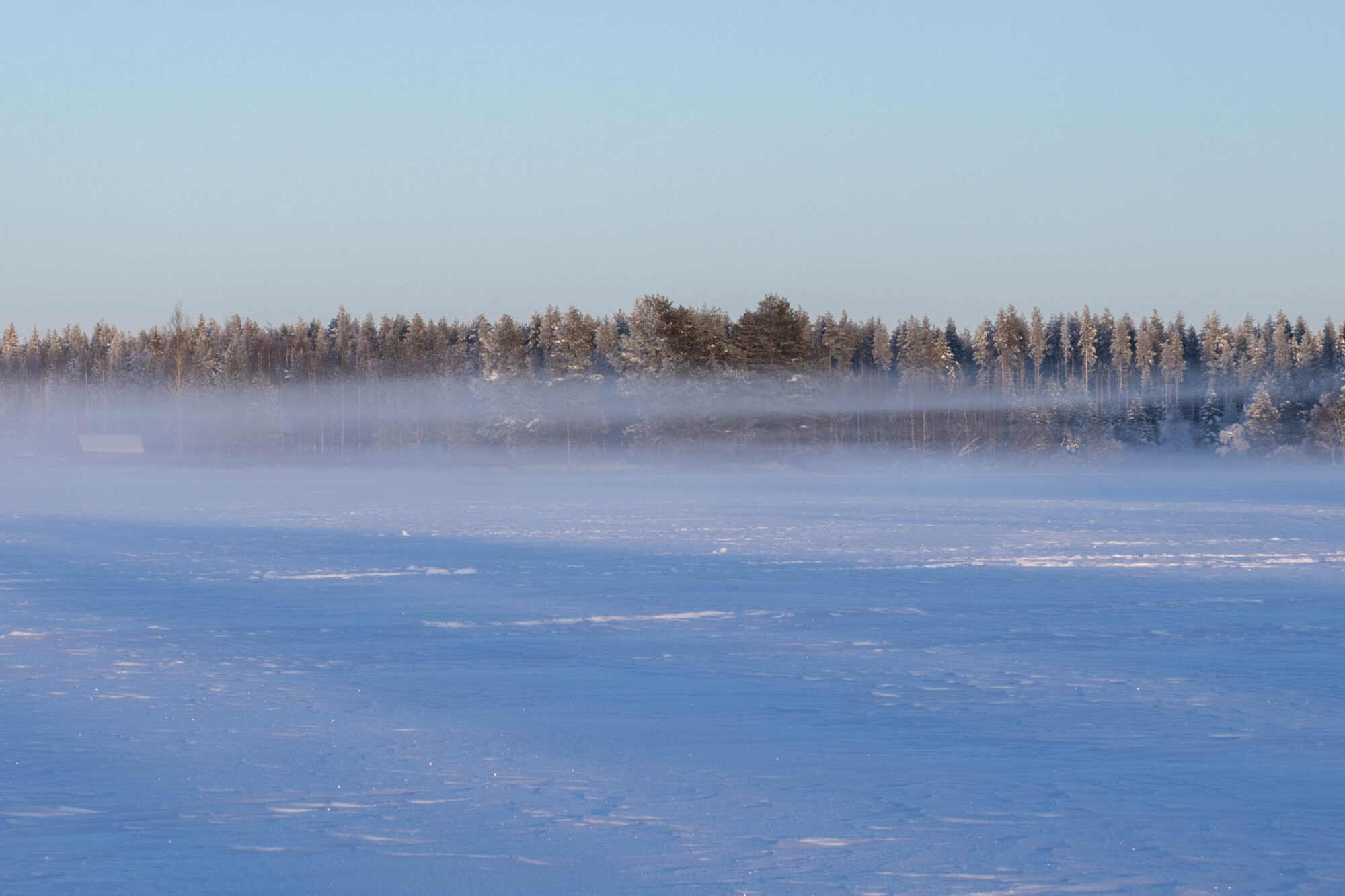 Valokuvaaja: Hannu Tikkanen