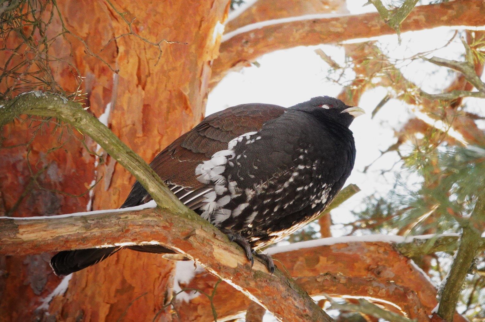 Valokuvaaja: Kaarina Heiskanen