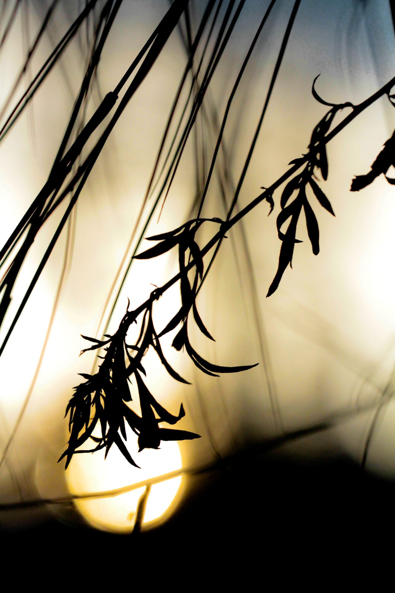 Valokuvaaja: Terhi Tertu Nieminen