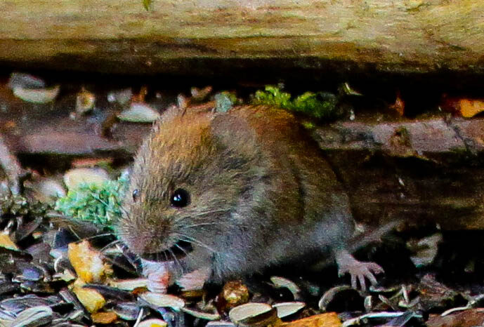 Valokuvaaja: Terhi Tertu Nieminen