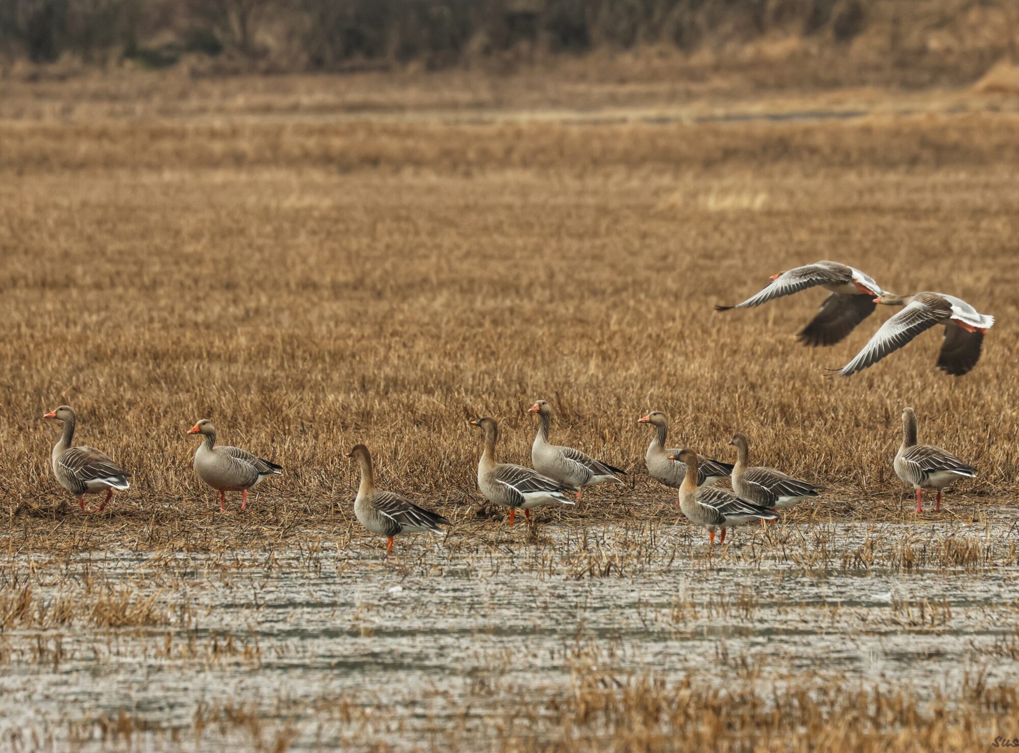 Valokuvaaja: Susanna Hannula