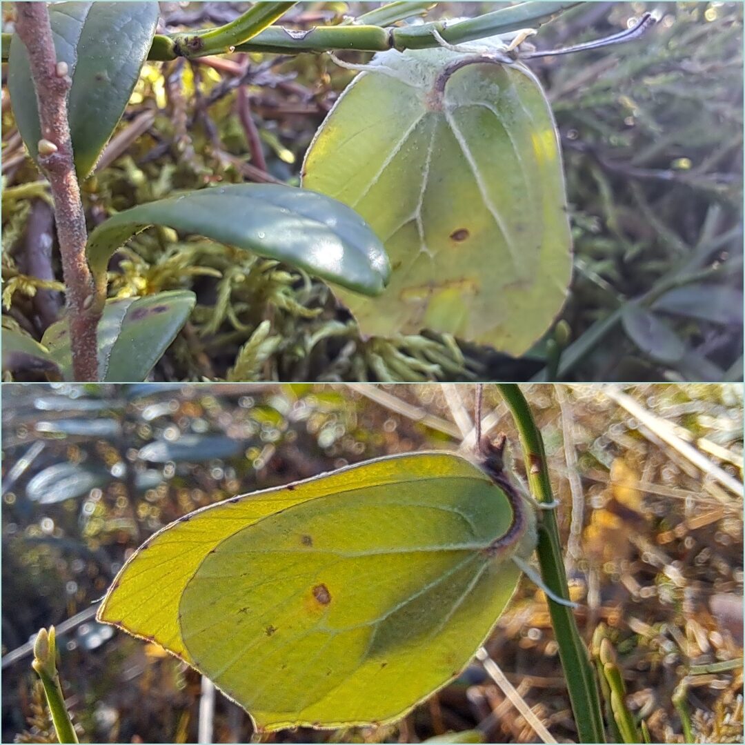 Valokuvaaja: Kaisa Marila