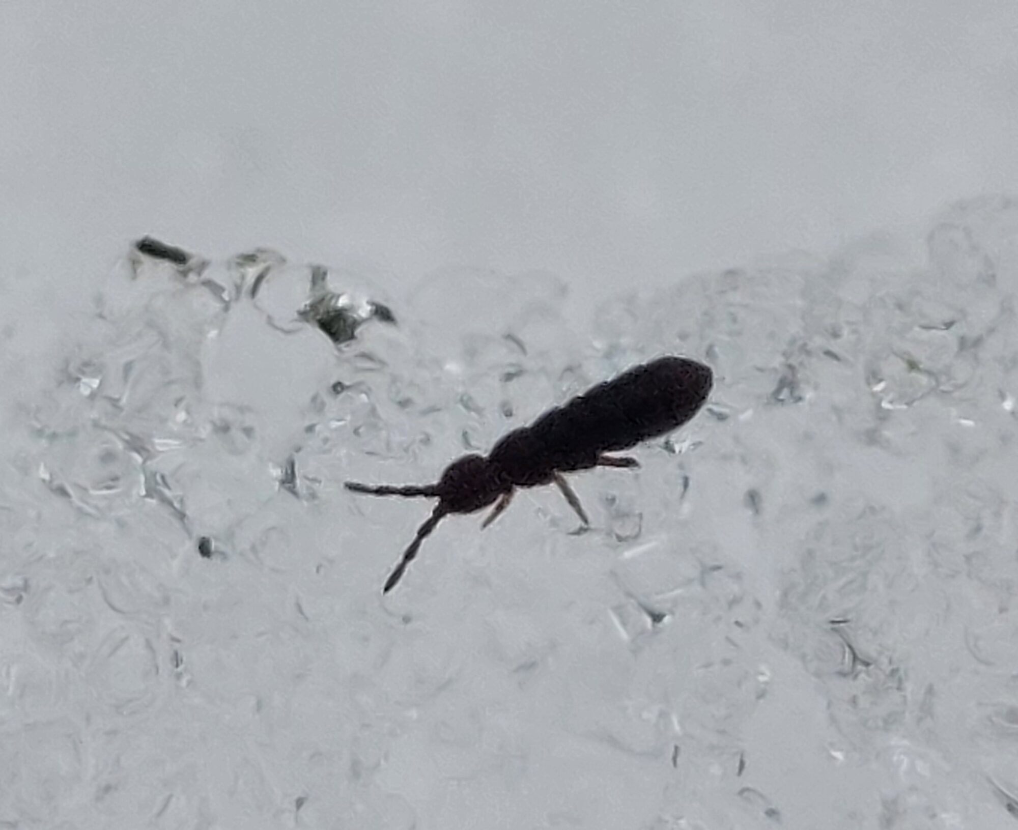 Valokuvaaja: Tarja Naukkarinen