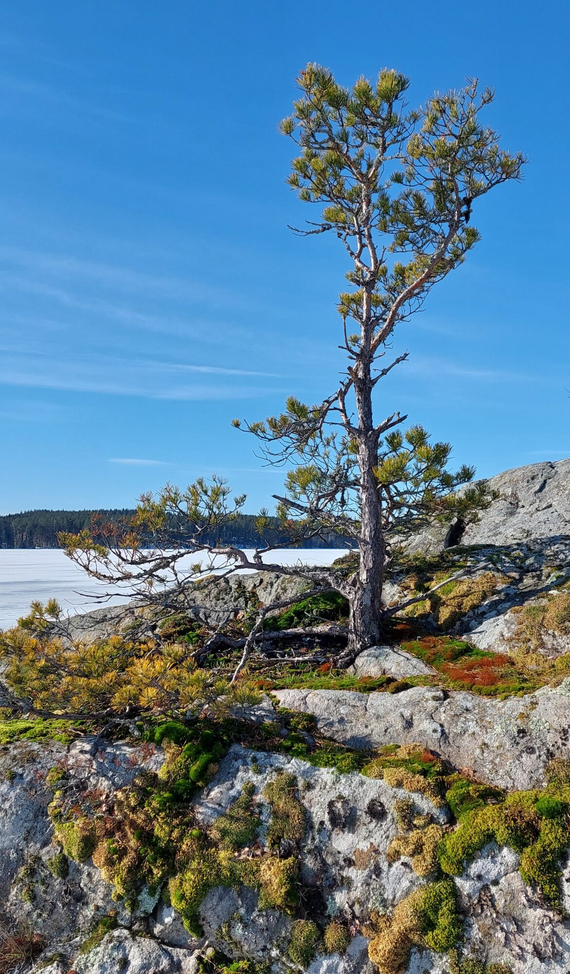 Valokuvaaja: Tarja Naukkarinen