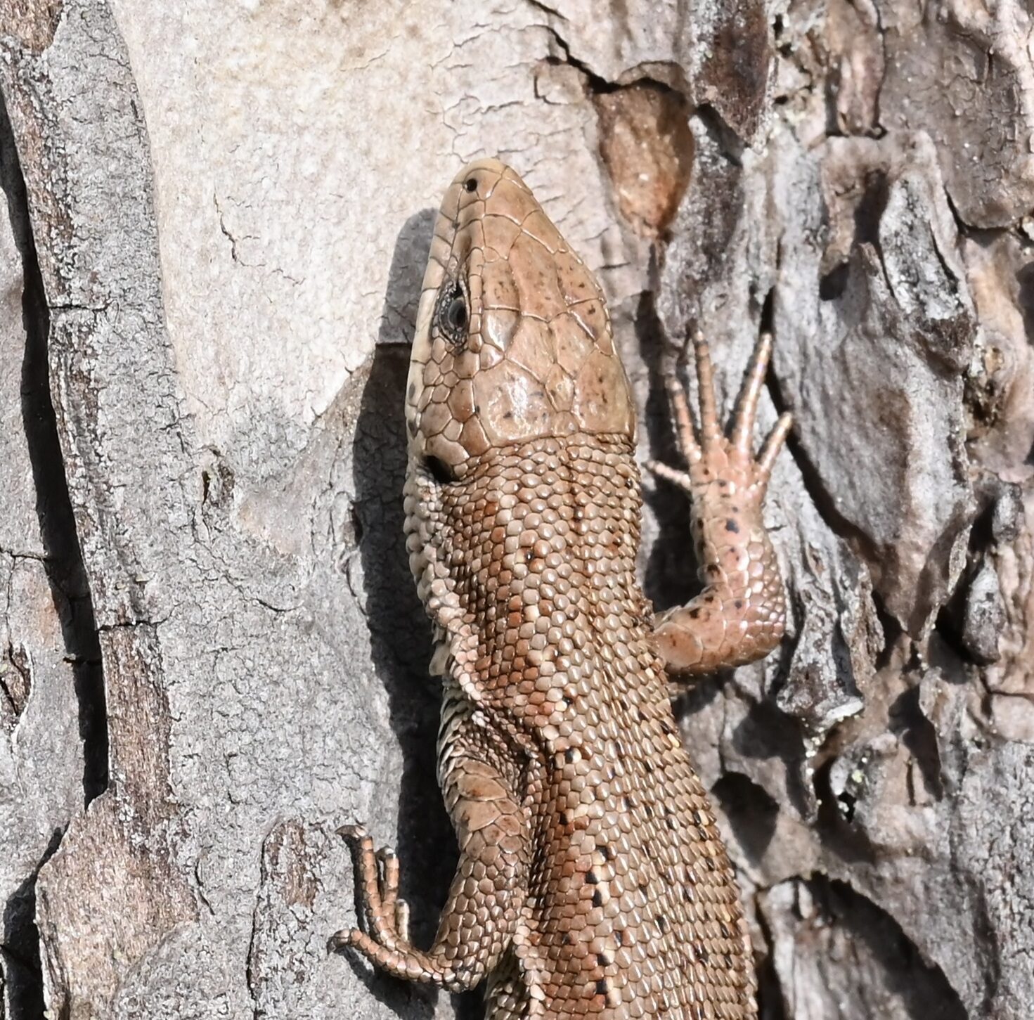 Valokuvaaja: Noora Andersson