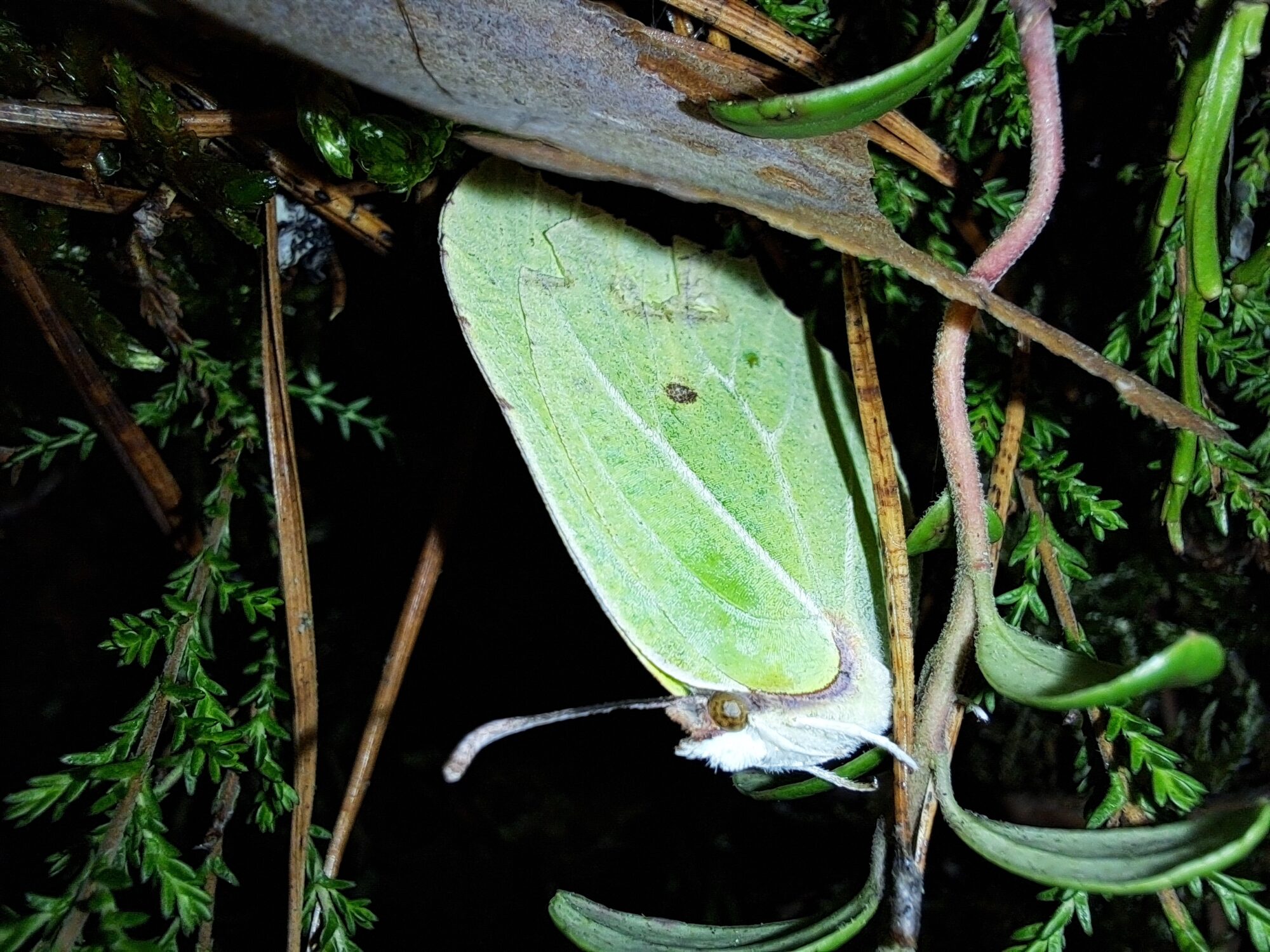 Valokuvaaja: Kaisa Marila