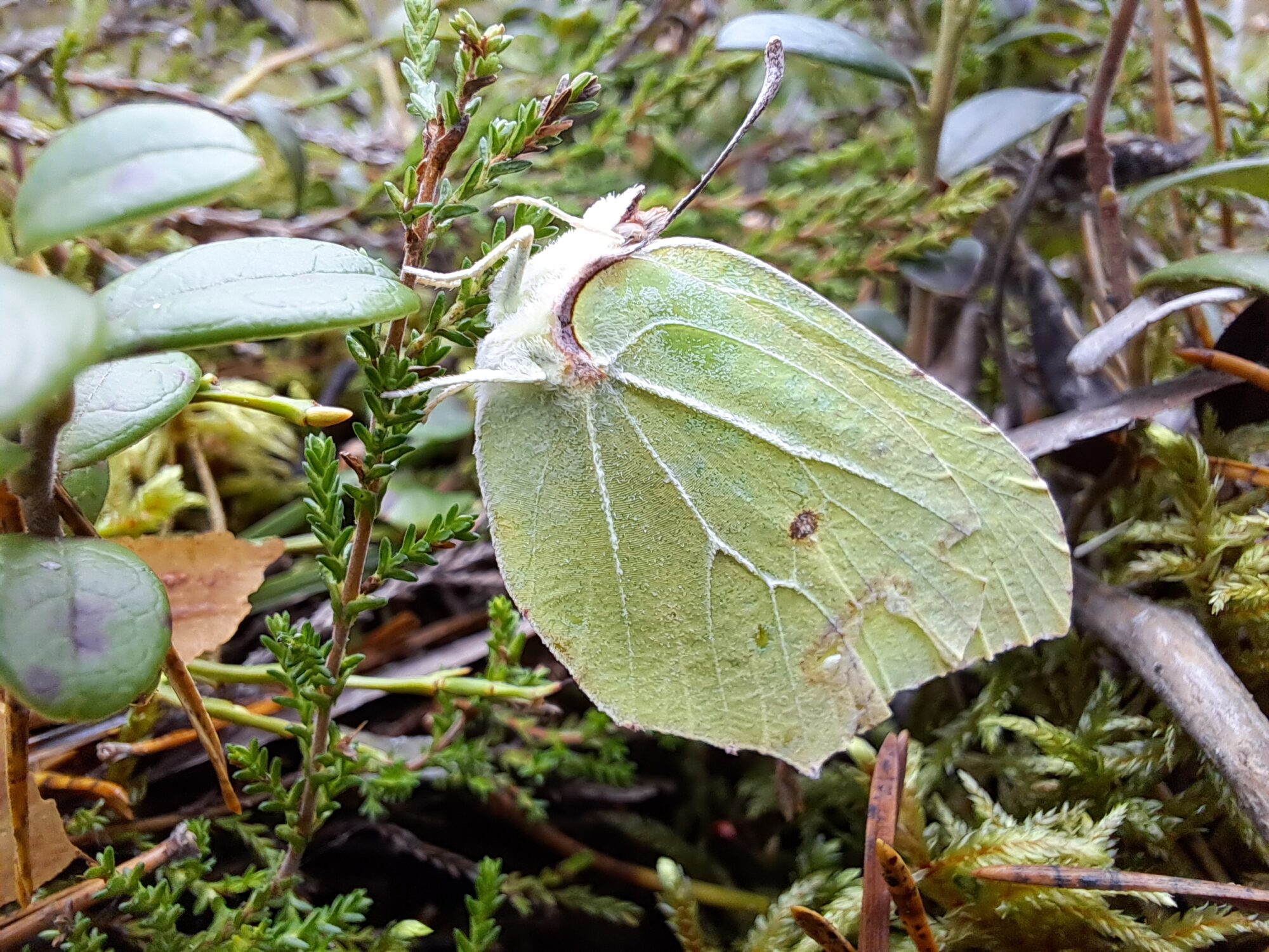 Valokuvaaja: Kaisa Marila