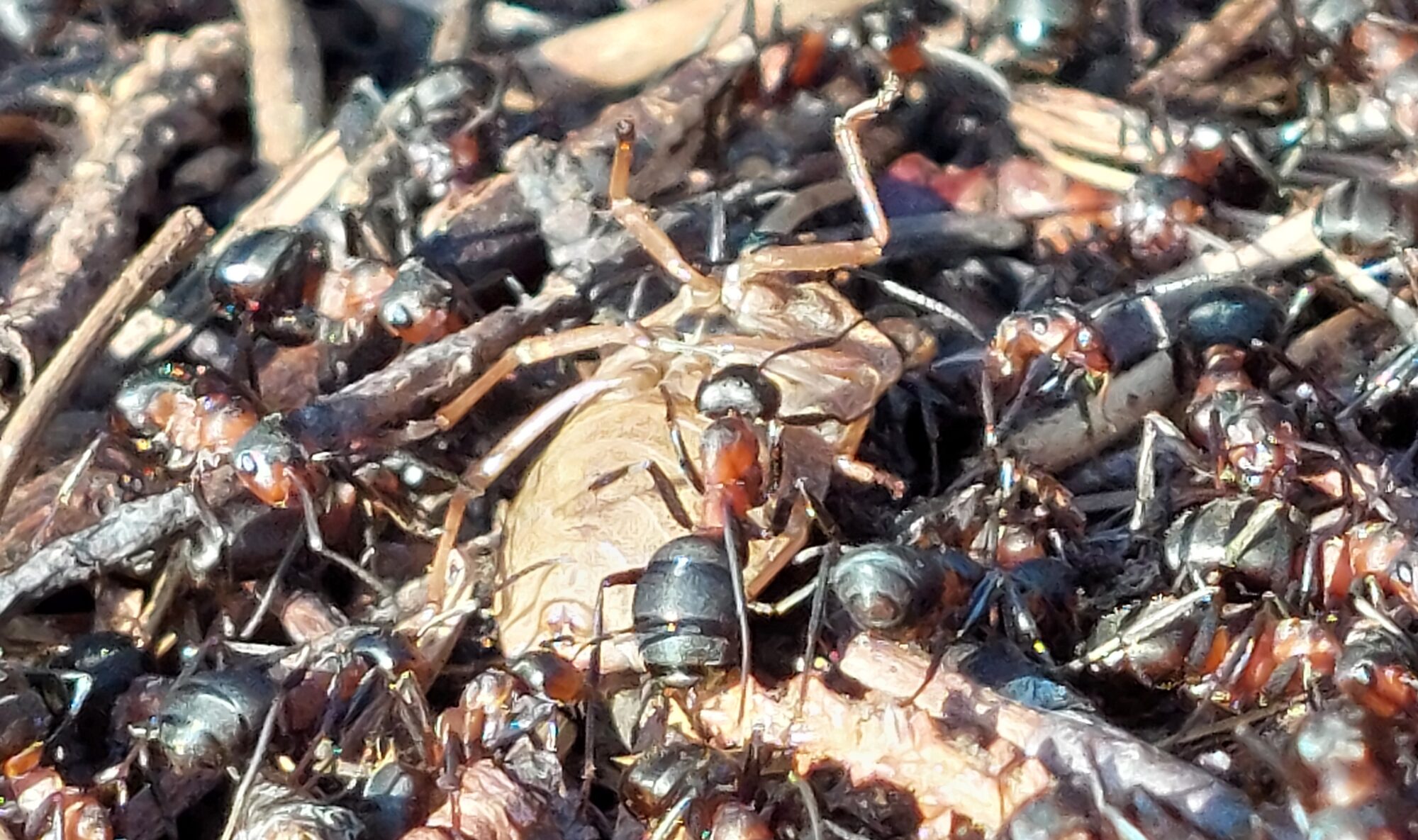 Valokuvaaja: Tarja Naukkarinen