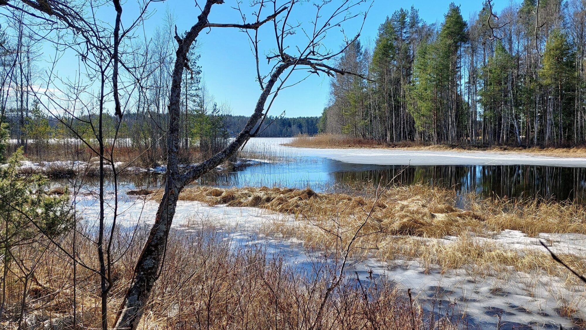 Valokuvaaja: Tarja Naukkarinen