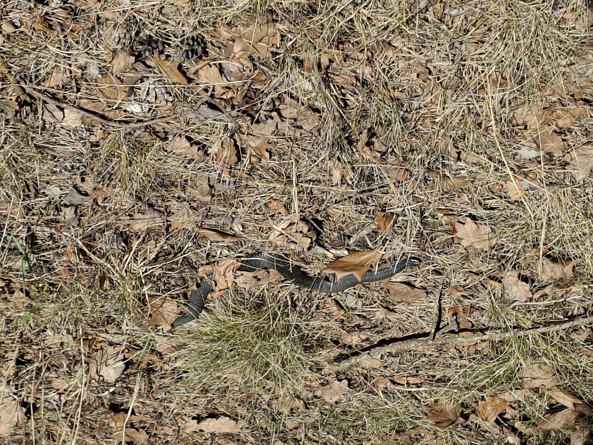 Valokuvaaja: Satu Suuntala