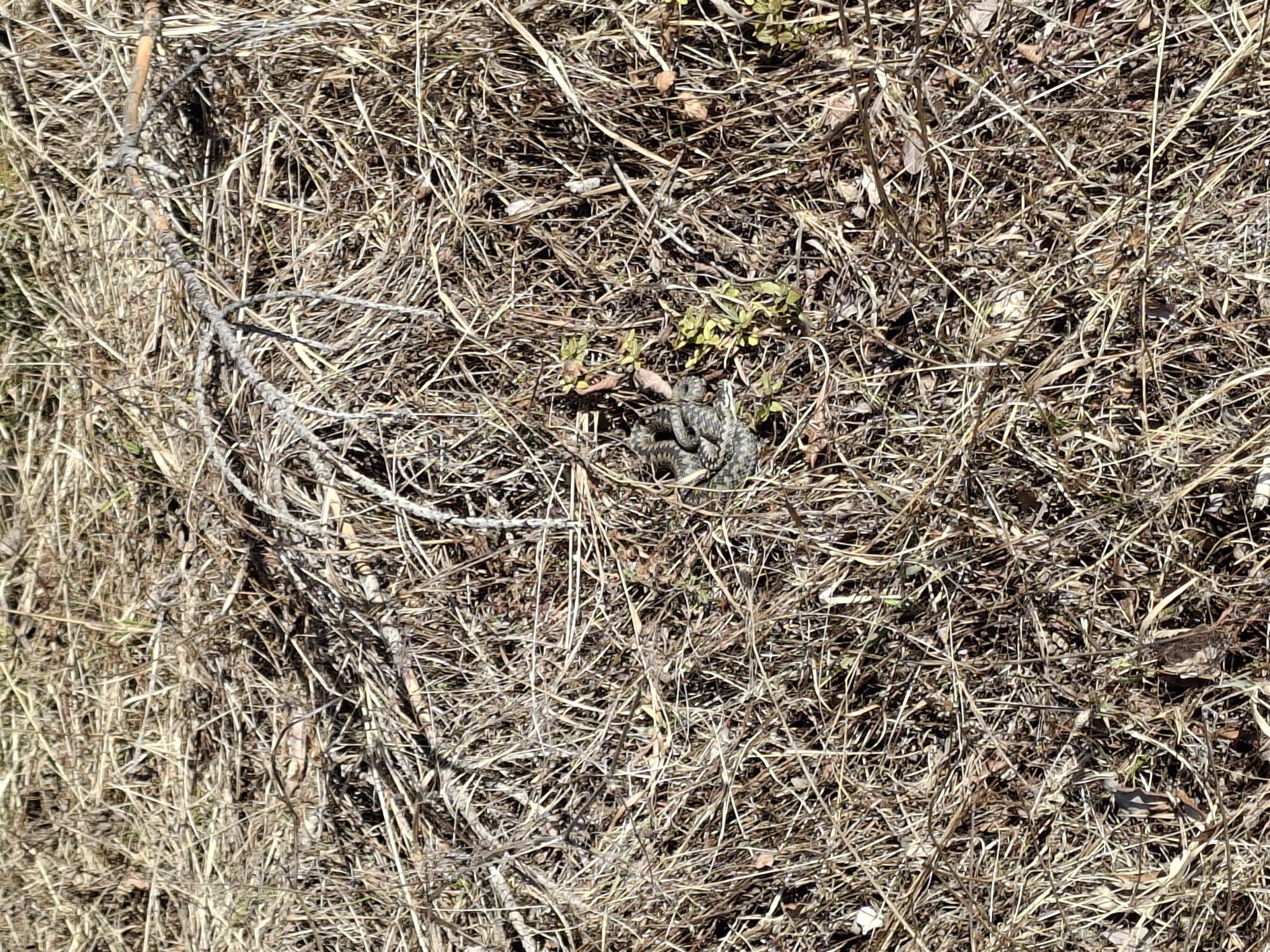 Valokuvaaja: Satu Suuntala