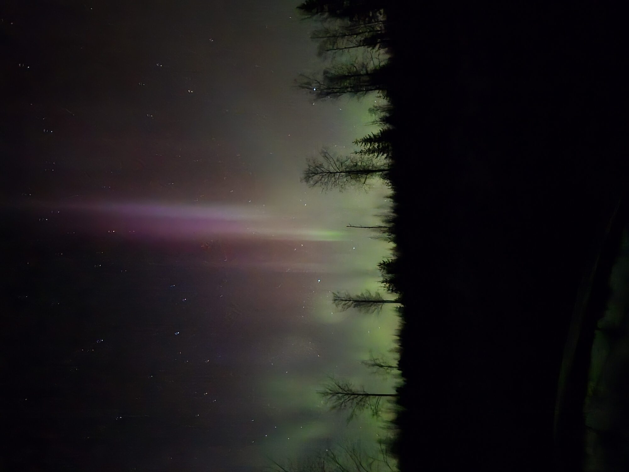 Valokuvaaja: Kaarina Walter