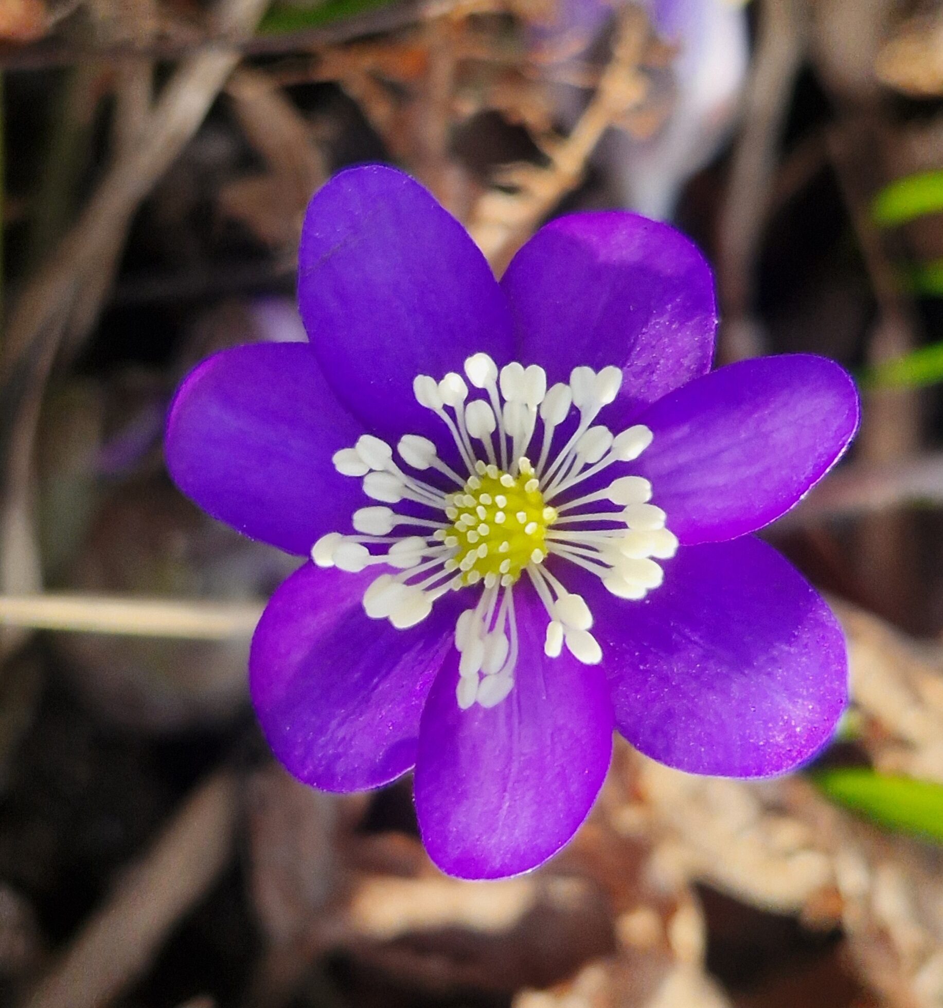 Valokuvaaja: Mervi And