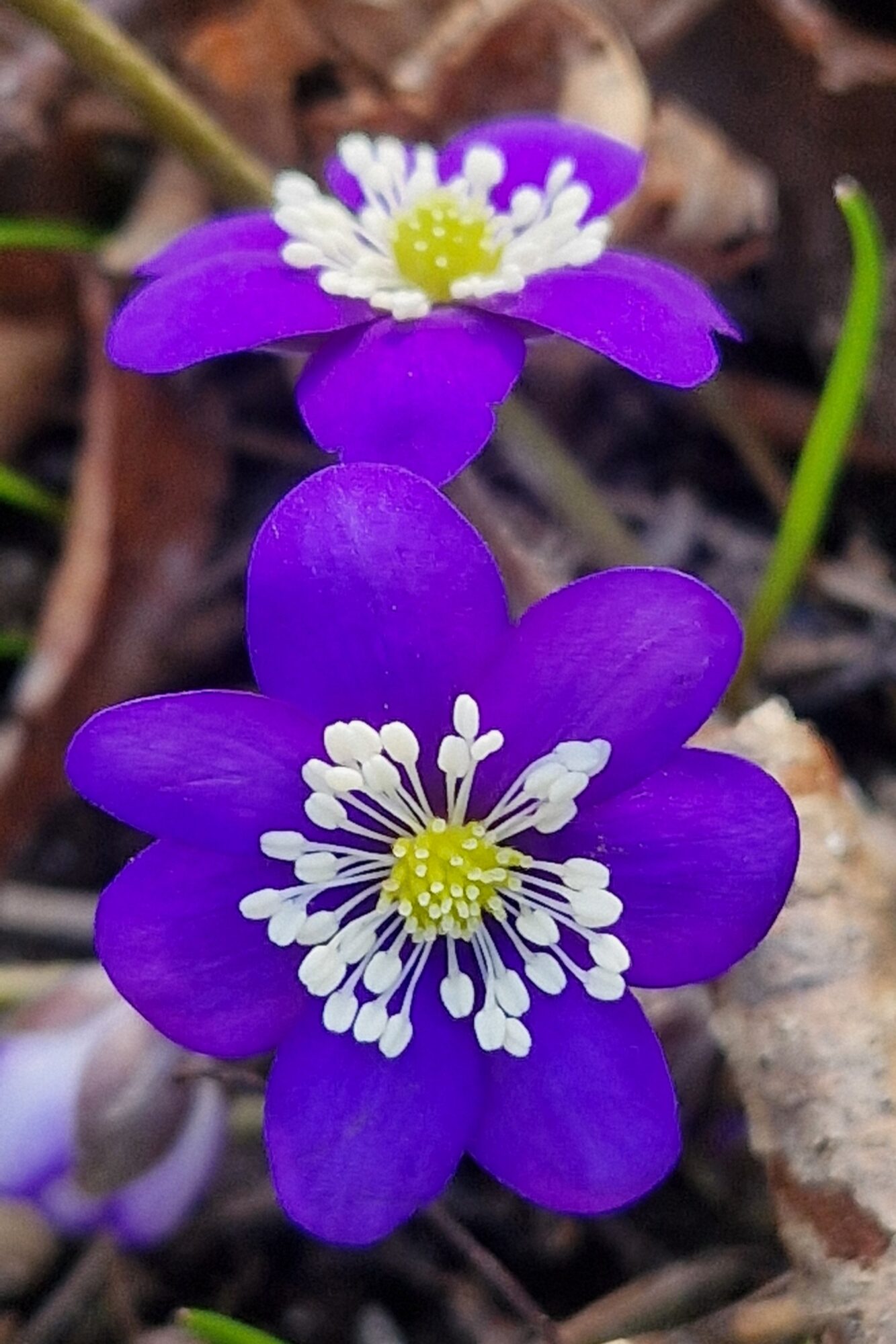 Valokuvaaja: Mervi And