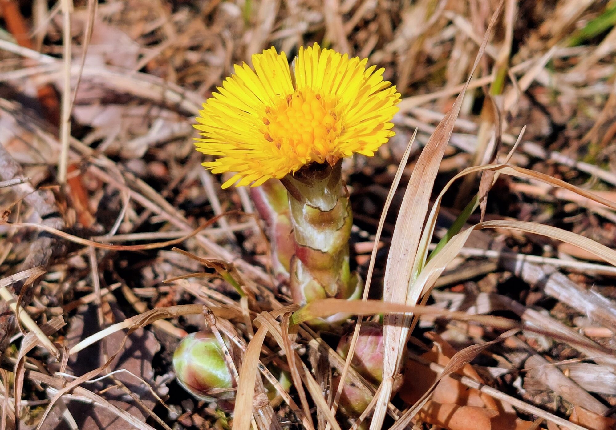 Valokuvaaja: Tarja Naukkarinen