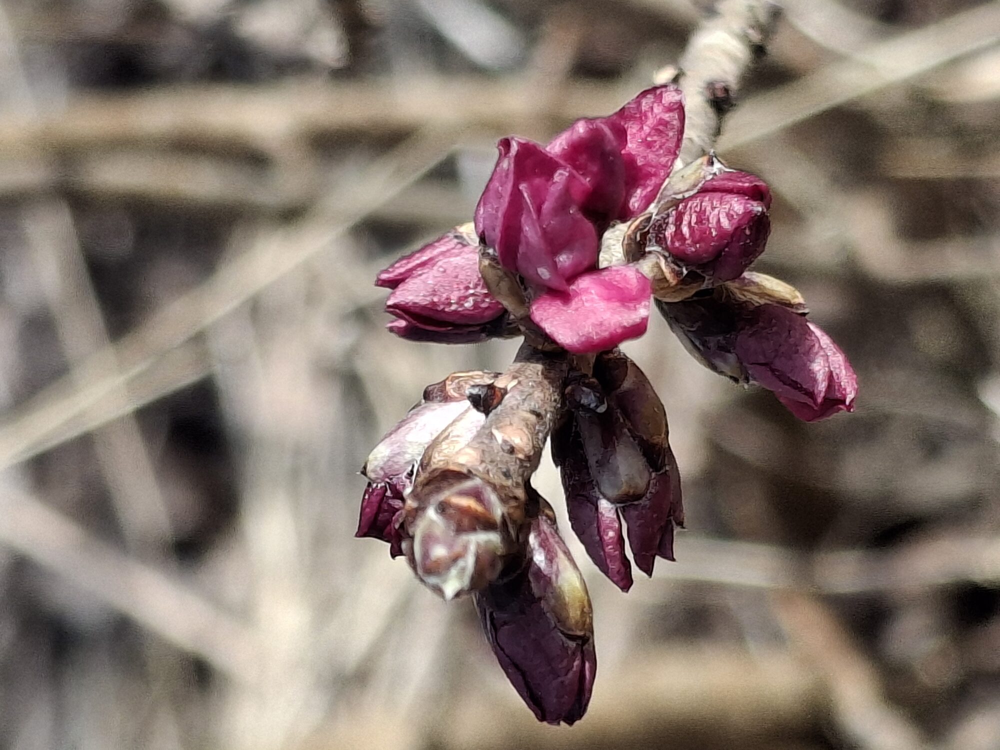 Valokuvaaja: Satu Suuntala