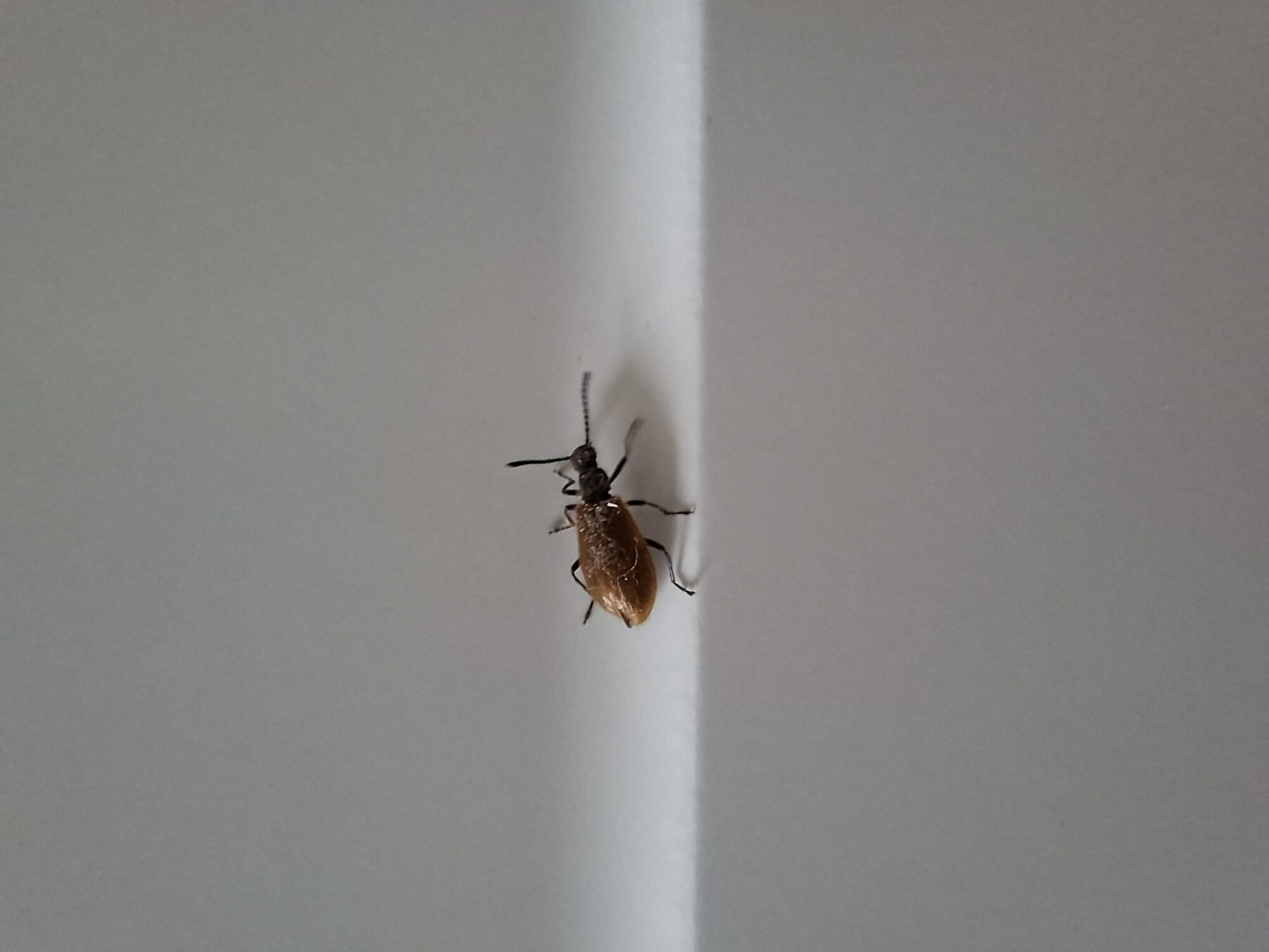 Valokuvaaja: Tiina Pakonen