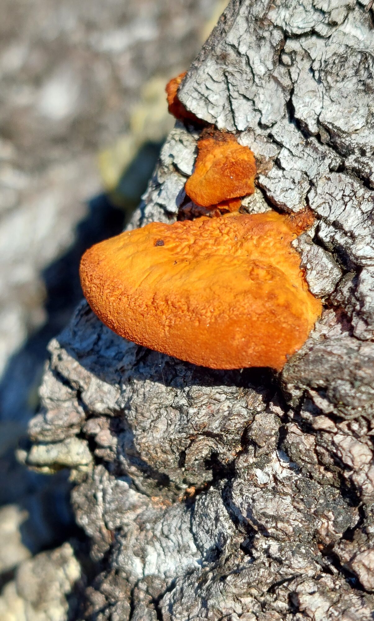 Valokuvaaja: Tarja Naukkarinen