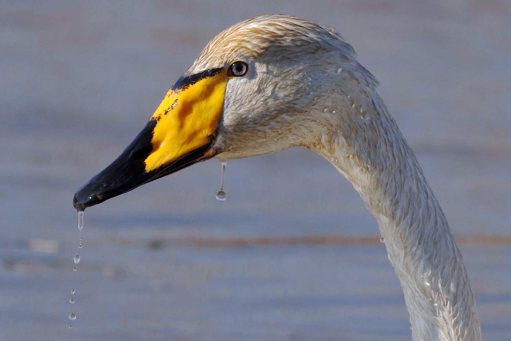 Valokuvaaja: Jouni Kalliomäki