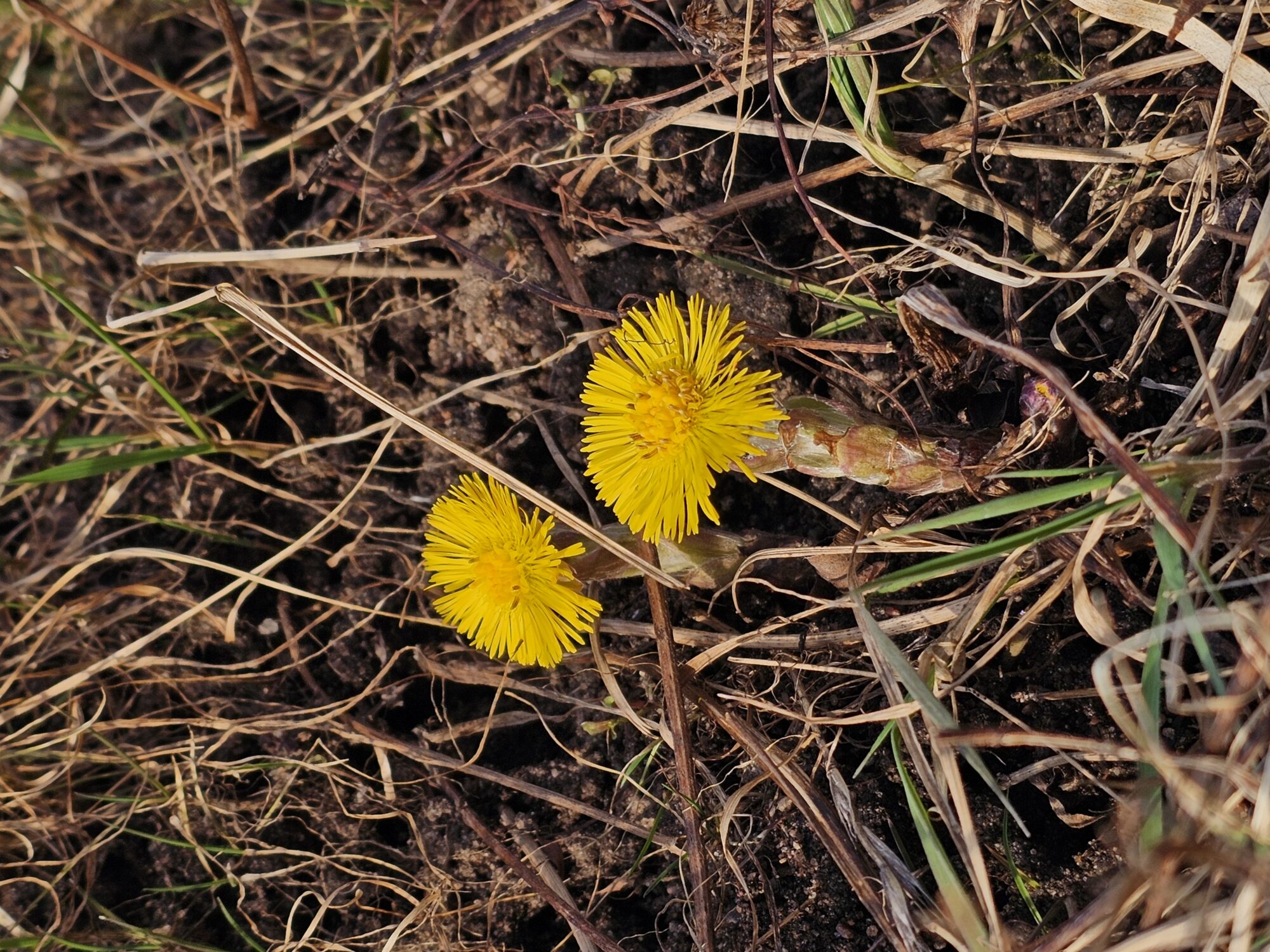 Valokuvaaja: Vili Lindegren