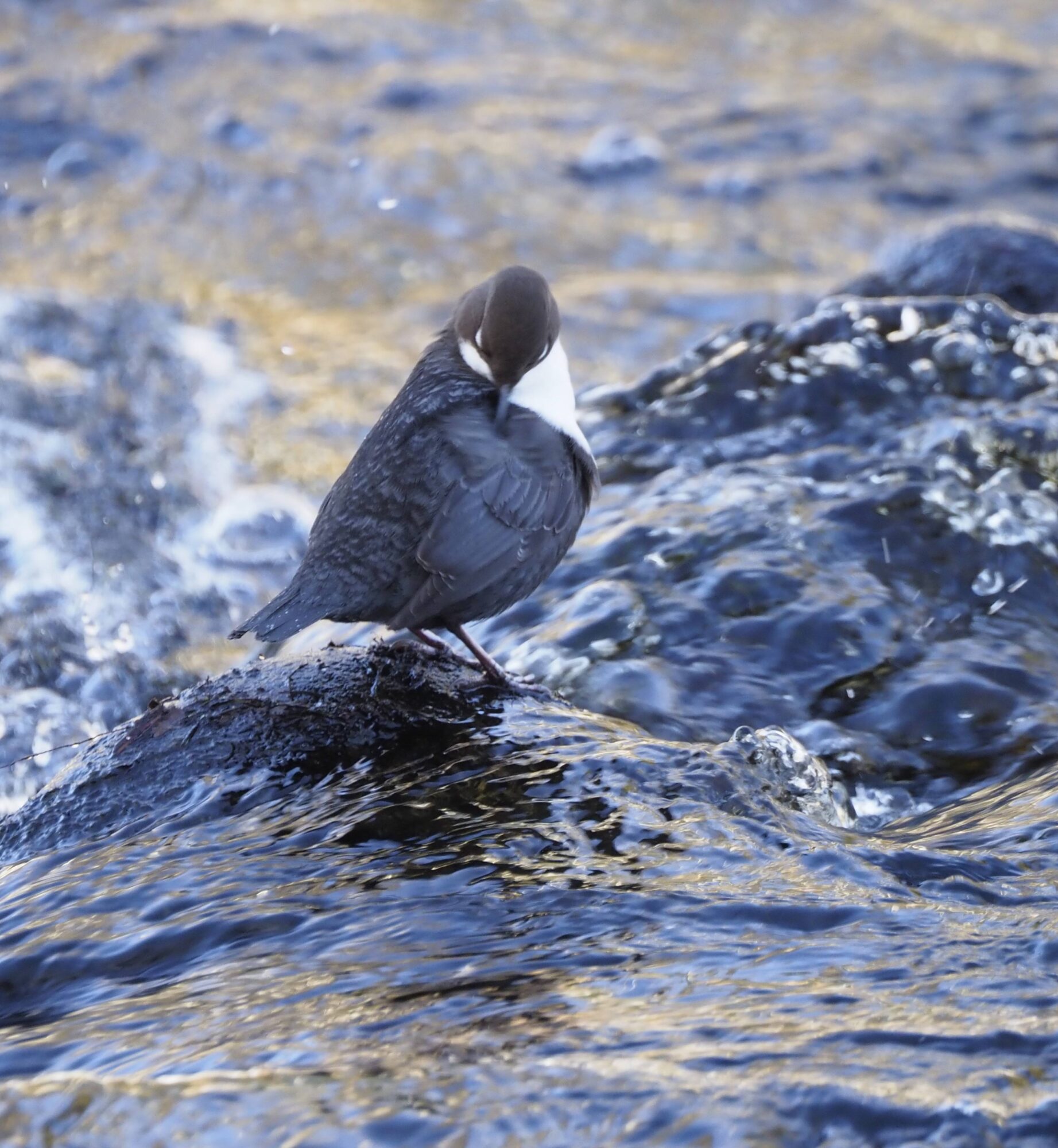 Valokuvaaja: Annikki Kärkkäinen