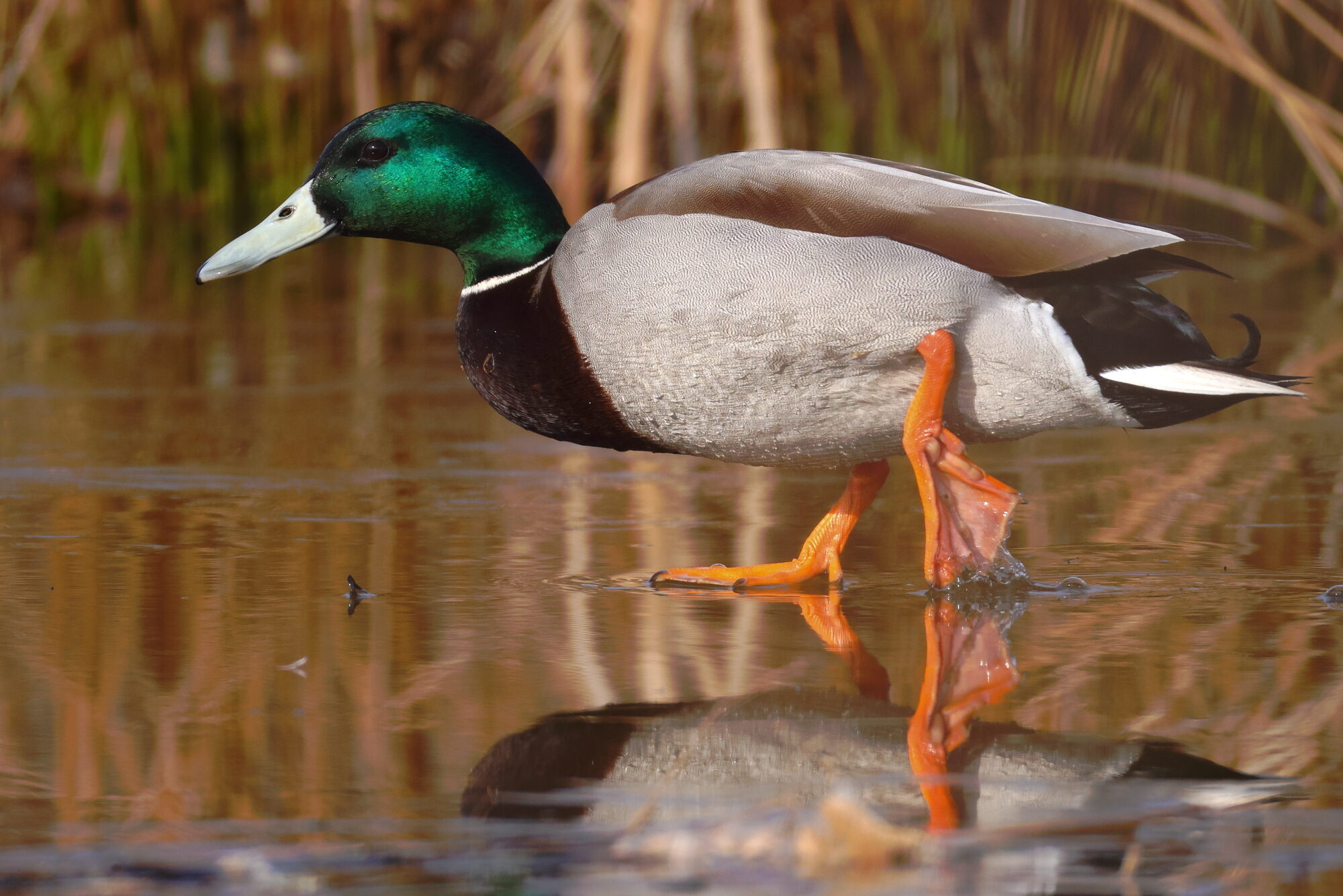 Valokuvaaja: Jouni Kalliomäki