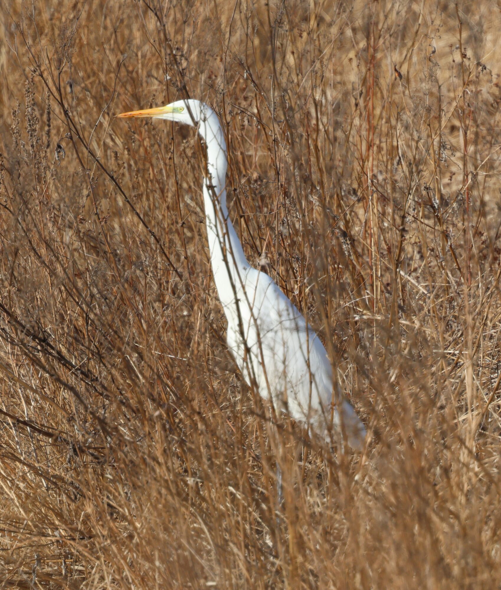 Valokuvaaja: Hanna Rönty
