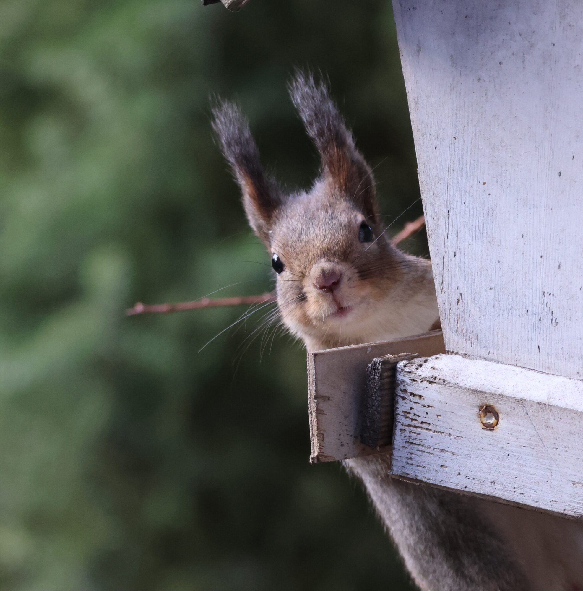 Valokuvaaja: Hanna Rönty