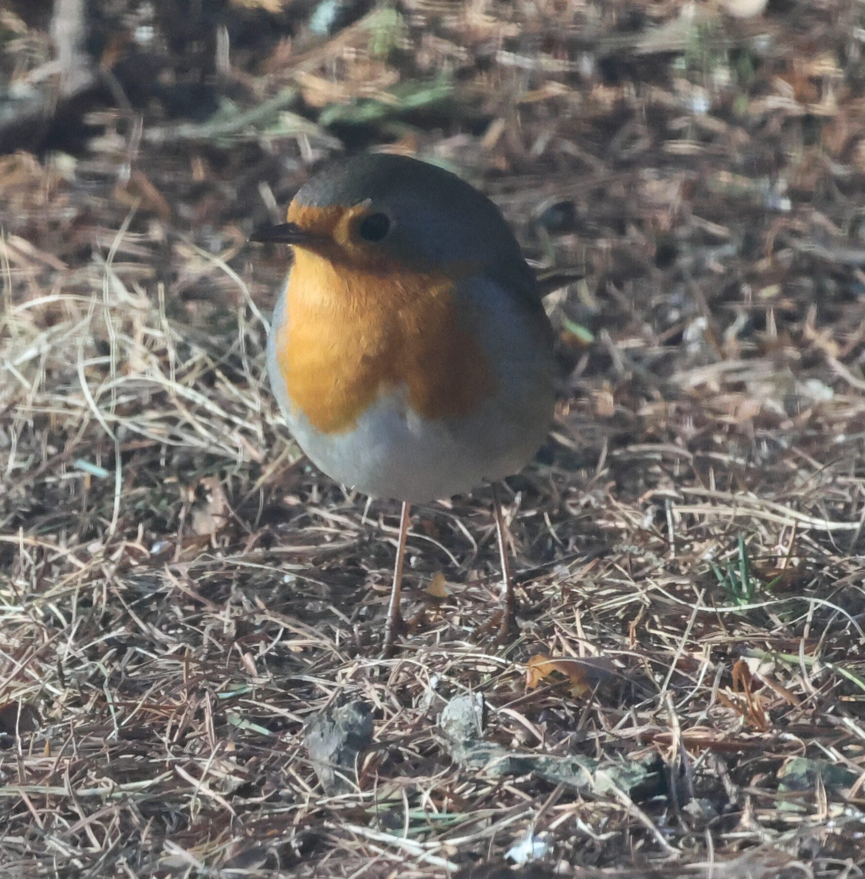 Valokuvaaja: Hanna Rönty