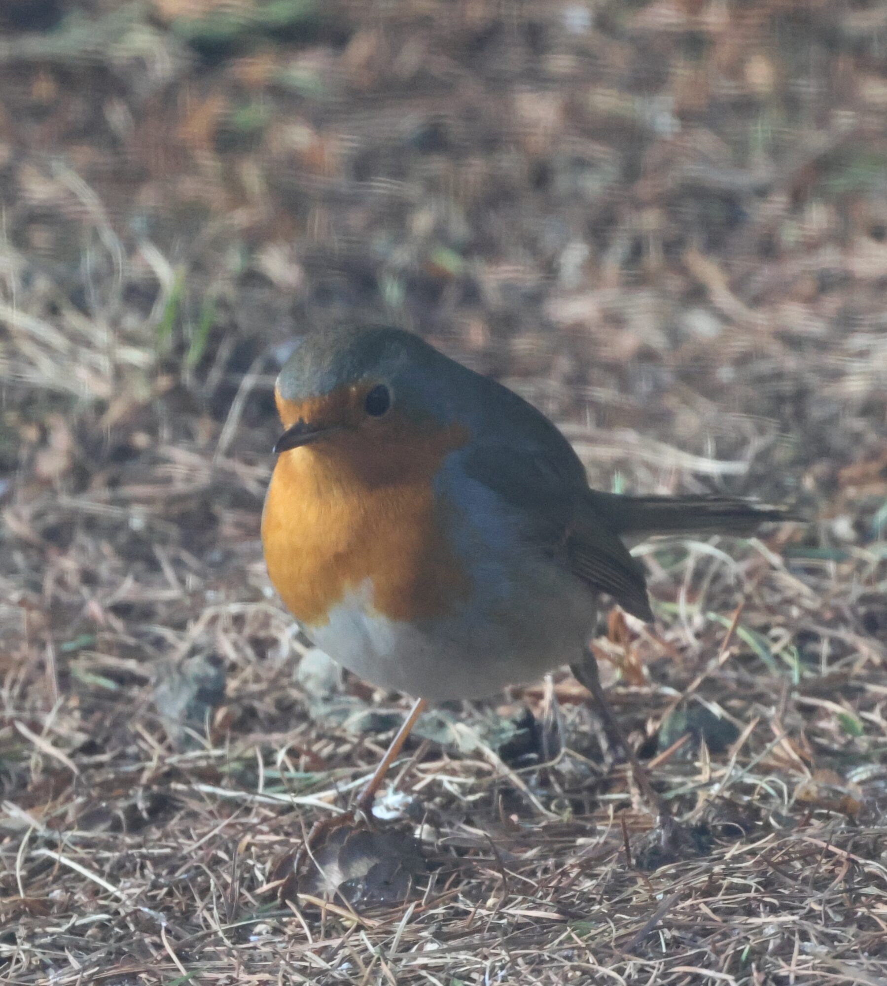 Valokuvaaja: Hanna Rönty