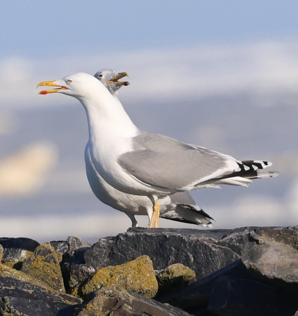 Valokuvaaja: Hanna Rönty