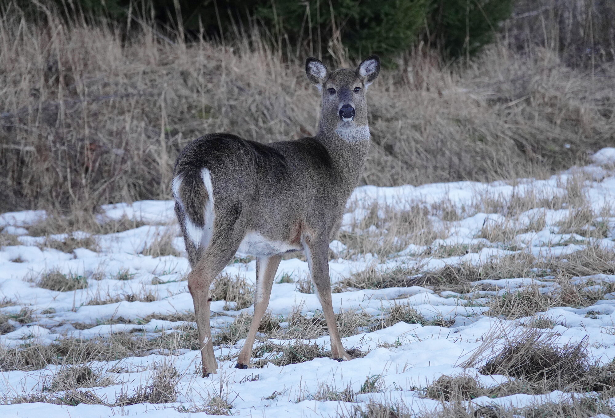 Valokuvaaja: Raija Oksanen