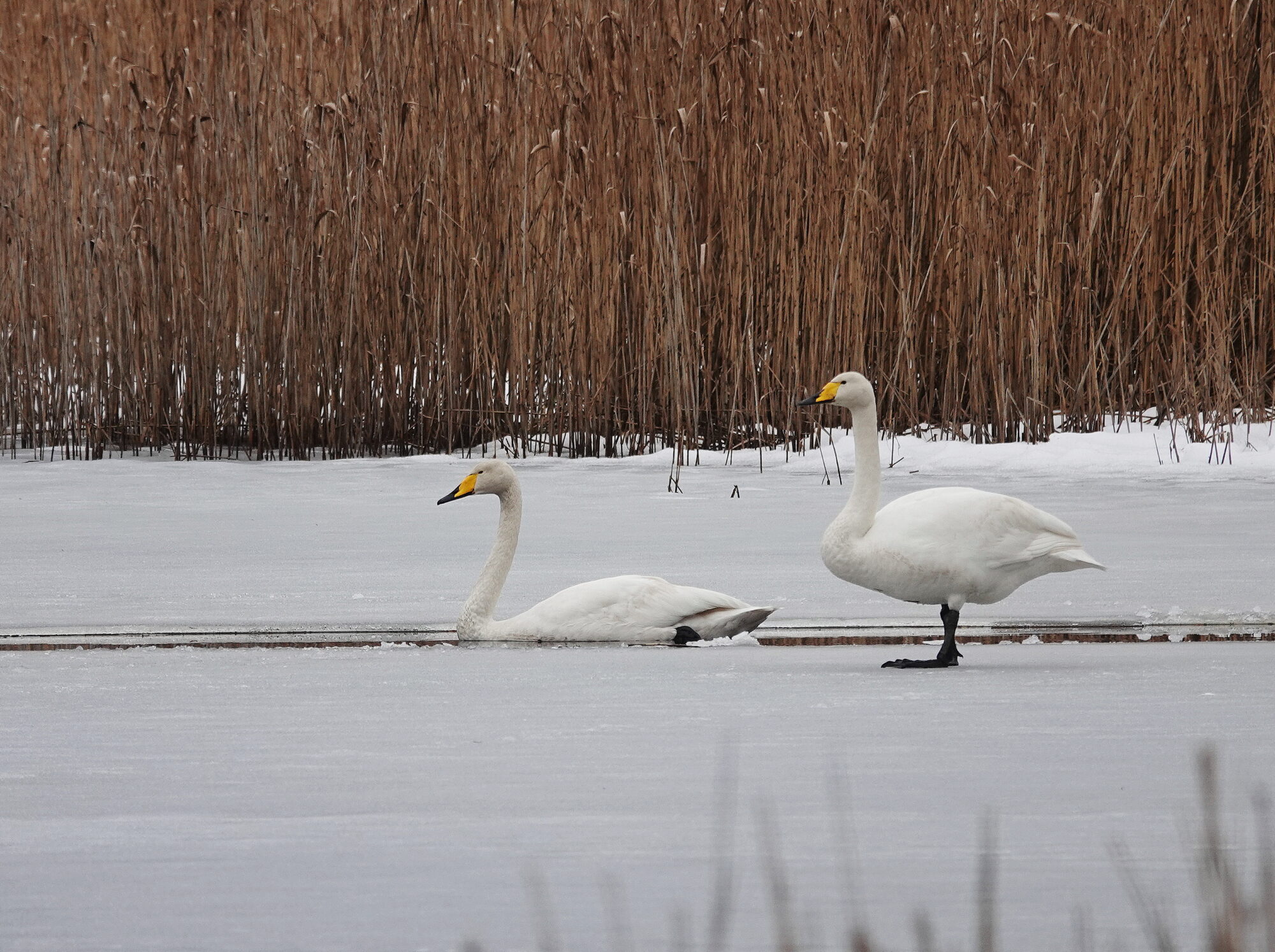 Valokuvaaja: Raija Oksanen